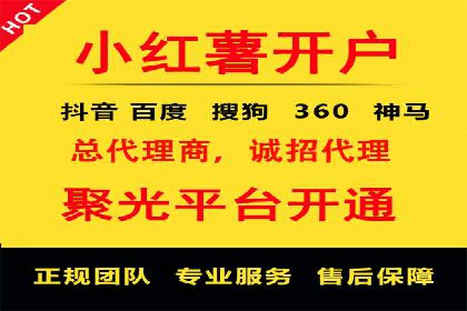探索SEM优化托管的成功案例与策略